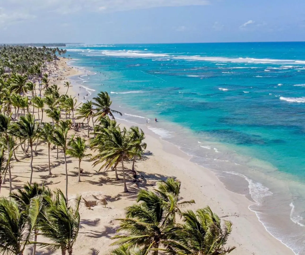 Playa Palmera Ocean View Punta Cana Dominikanische Republik
