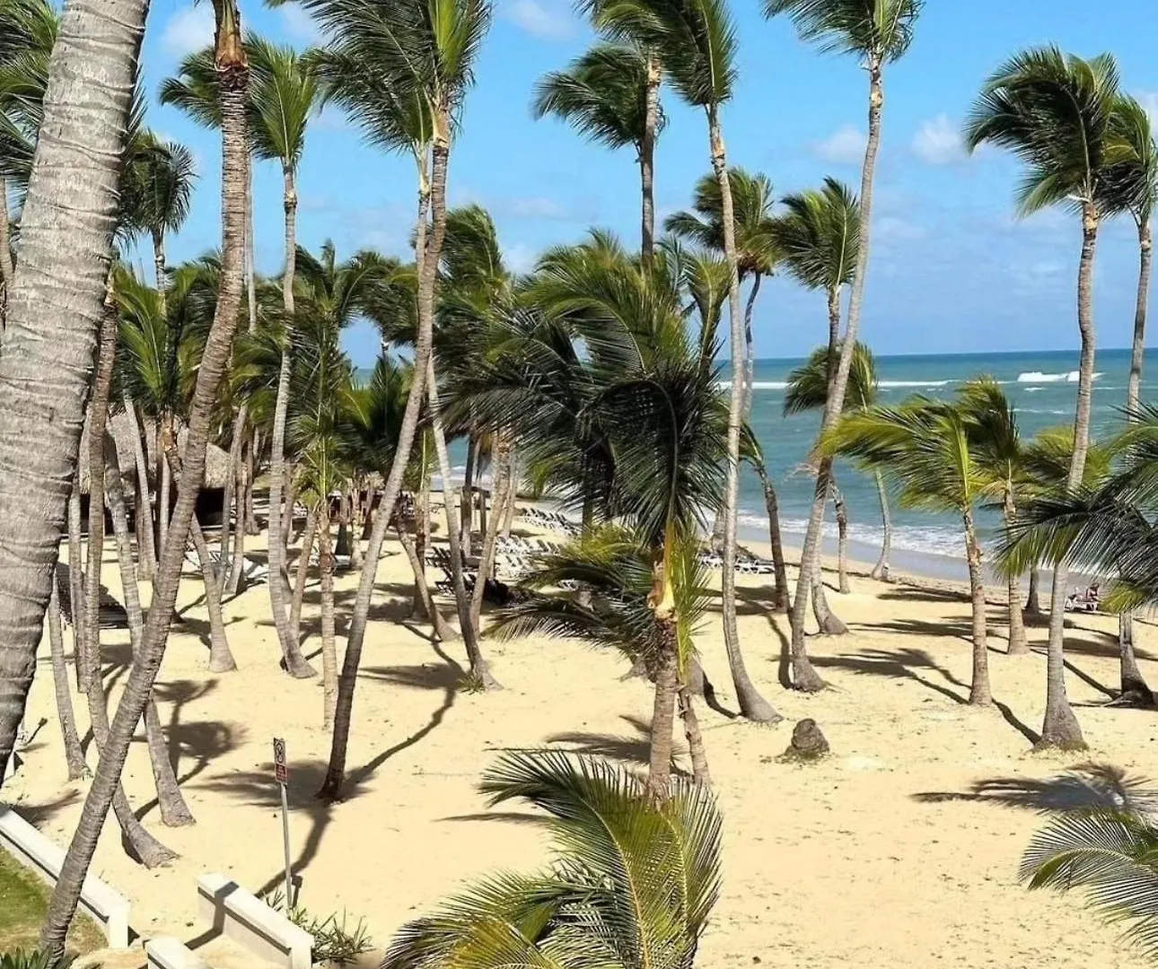 Playa Palmera Ocean View Punta Cana